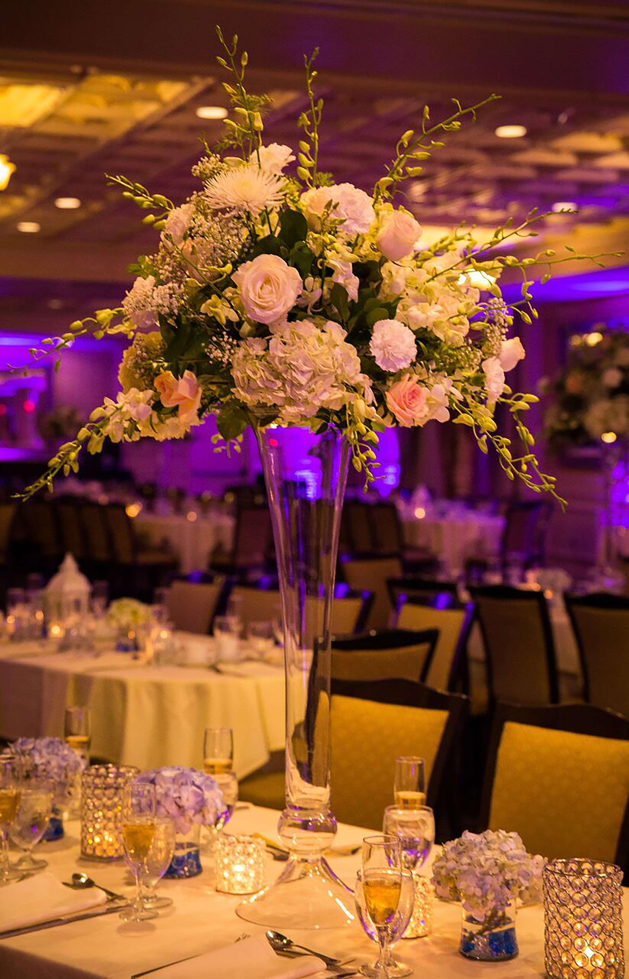 Hotel Hilton Garden Hamilton 3*